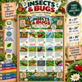 Insects & Bugs Educational Poster for Kids | Nature Wall Art