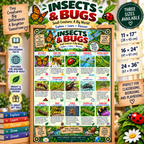 Insects & Bugs Educational Poster for Kids | Nature Wall Art